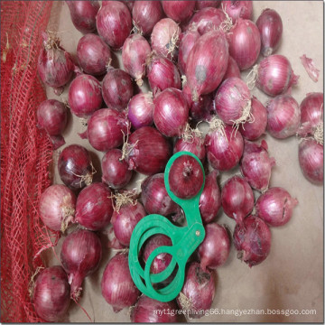 2016 Fresh Onions Seller in China